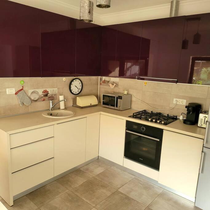 Apartament Individual La Casa Parter Apartman Temesvár Kültér fotó